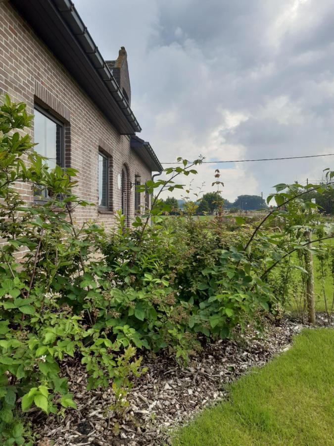 Vakantiehuis Zoetendaal Reningelst Eksteriør bilde